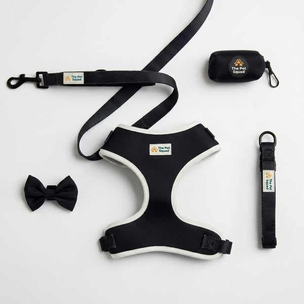 5-Piece Black & White Dog Accessories Set – Harness, Lead & Bow Tie
